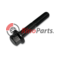 4899053 SROUB IVECO