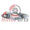 500348820 TESNENI