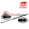 44 14 419 Gas Spring for tailgate