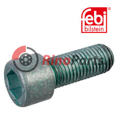 Interior Hexagon Bolt for hub cap