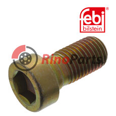 06.02100.2555 Interior Hexagon Bolt for brake drum