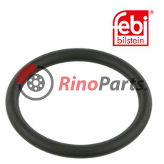 4 315 0048 00 O-Ring for brake camshaft